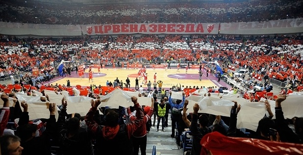 crvena-zvezda-fans